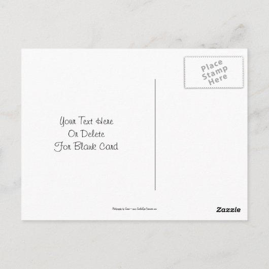 ハミングバードオンアイリスフラワーポストカード ポストカード (裏面)