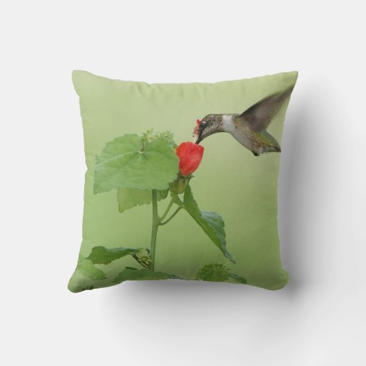 ハミングバードオンフラワー開花グリーン装飾用クッション クッション (裏面)