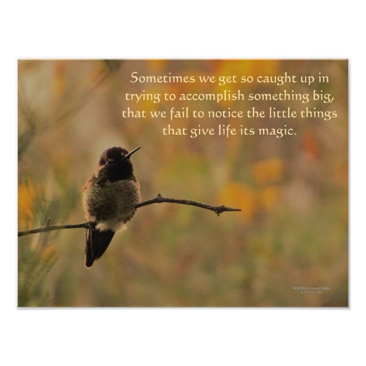 ハミングバードオンブランチ暖かい黄色の緑の色 フォトプリント (正面)