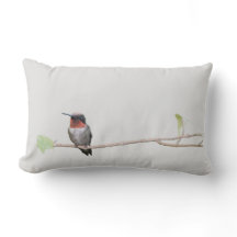 ハミングバードオンブランチ