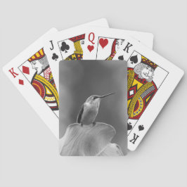 ハミングバードカクラシックード トランプ