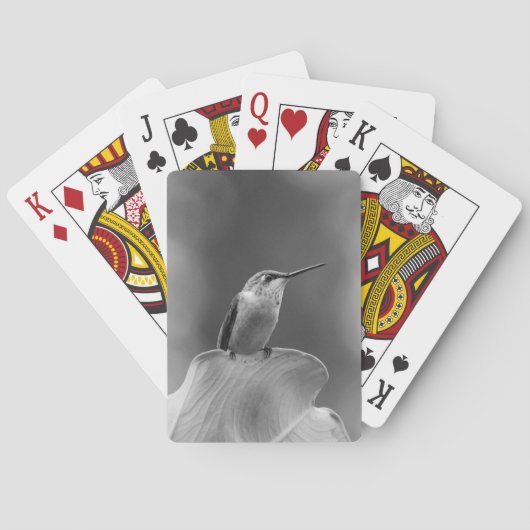 ハミングバードカクラシックード トランプ (裏面)