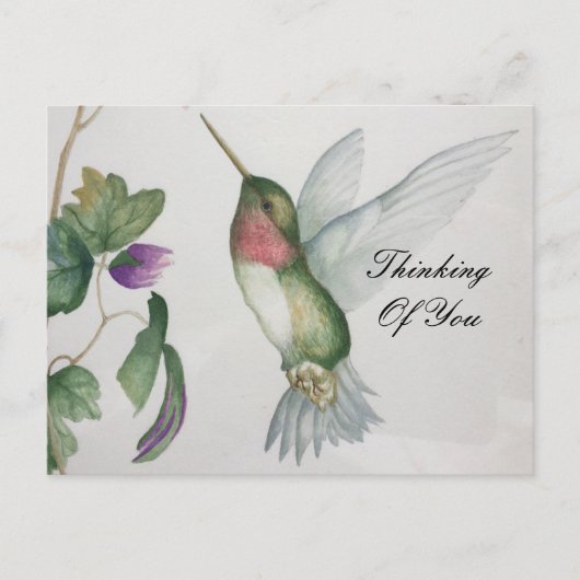 ハミングバードガーデンを想って ポストカード (正面)