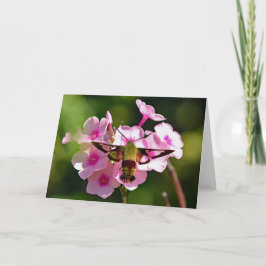 ハミングバードガ空白のグリーティングカード カード