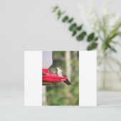 ハミングバードギフトアイディア ポストカード (スタンド正面)