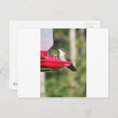 ハミングバードギフトアイディア ポストカード (正面/裏面)