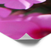 ハミングバードクリアウイング&フロックス2 ポスター (角)