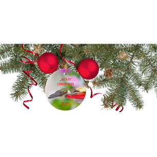 ハミングバードクリスマスオーナメント セラミックオーナメント