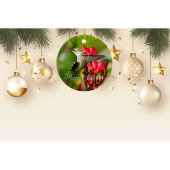 ハミングバードクリスマスオーナメント セラミックオーナメント