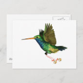 ハミングバードクリスマス シーズンポストカード (正面/裏面)