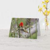 ハミングバードグリーティングカード カード (黄色い花)