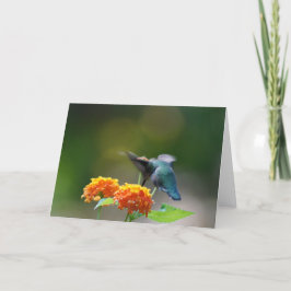 ハミングバードグリーティング カード