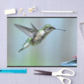 ハミングバードグリーン飛行写真野生動物 薄葉紙 (クラフト)