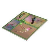 ハミングバードコラージュ、引用文 タイル (側面)