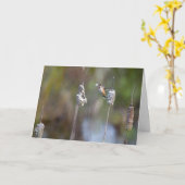 ハミングバードコレクティングカタテイルノテカード カード (黄色い花)