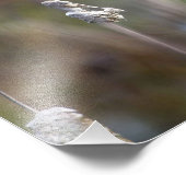 ハミングバードコレクティングカタテールフラフ フォトプリント            (角)