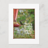 ハミングバードサンシャインマイソウル ポストカード (正面)