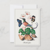 ハミングバードシーシェルフローラヴィンテージアートカスタム サンキューカード (正面)