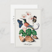 ハミングバードシーシェルフローラヴィンテージアートカスタム サンキューカード (正面/裏面)