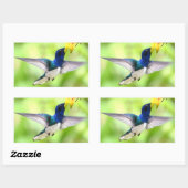 ハミングバードシール 長方形シール (シート)