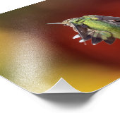 ハミングバードストレッチフォトプリント フォトプリント            (角)