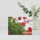 ハミングバードズフード ポストカード (スタンド正面)