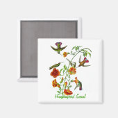 ハミングバードソーシャル マグネット (正面/裏面)