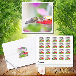 ハミングバードデザイン#0624 スクエアシール