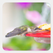 ハミングバードデザイン#0624 スクエアシール (正面)