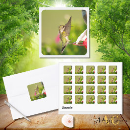ハミングバードデザイン#108A0604 スクエアシール