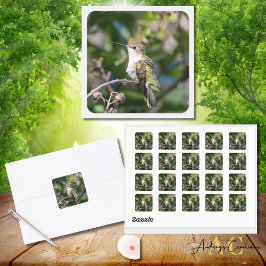 ハミングバードデザイン#4Q7A5301 スクエアシール