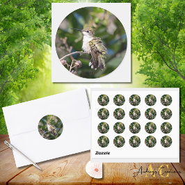 ハミングバードデザイン#4Q7A5304 ラウンドシール