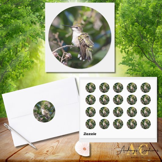 ハミングバードデザイン#4Q7A5304 ラウンドシール