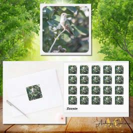 ハミングバードデザイン#4Q7A9974 スクエアシール