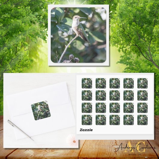 ハミングバードデザイン#4Q7A9974 スクエアシール