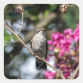 ハミングバードデザイン#8354 スクエアシール (正面)