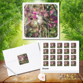 ハミングバードデザイン#8401 スクエアシール
