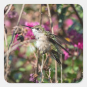 ハミングバードデザイン#8401 スクエアシール (正面)