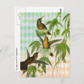 ハミングバードデジタルアート ポストカード (正面/裏面)