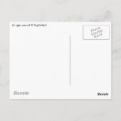 ハミングバードデジタルアート ポストカード (裏面)