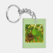 ハミングバードネストハニーサックル キーホルダー (正面左)