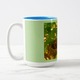 ハミングバードネスト ツートーンマグカップ