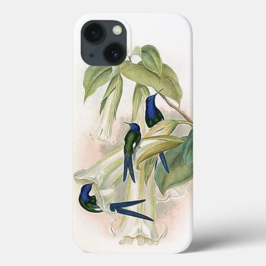 ハミングバードバードiPhone 6ケース Case-Mate iPhoneケース (裏面)