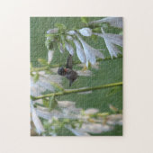 ハミングバードパズル ジグソーパズル (縦)