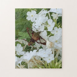 ハミングバードパズル ジグソーパズル