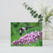 ハミングバードピンクの花野生生物写真 ポストカード (スタンド正面)