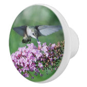 ハミングバードピンクフローラフライトワイルドライフフォト セラミックノブ (右)