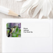 ハミングバードピンクフローラ野生動物写真 ラベル (インサイチュ)