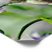 ハミングバードピンクフローラ野生生物写真 ポスター (角)