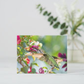 ハミングバードファストフード ポストカード (スタンド正面)